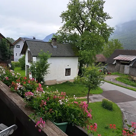 Urlaub Am Liasnhof