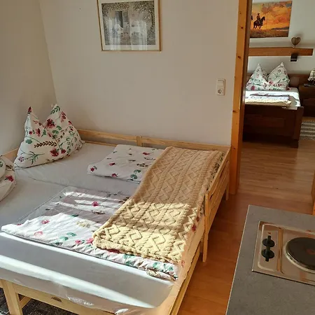 Urlaub Am Liasnhof Apartment Bad Aussee