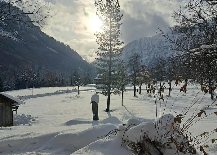 Urlaub Am Liasnhof *